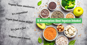 16 misconceptions about veganism debunked