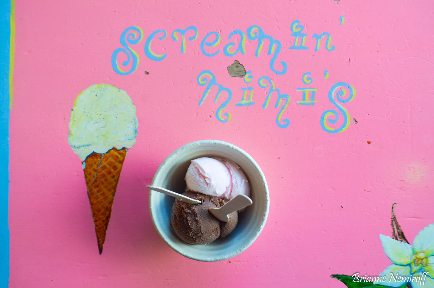 vegan ice cream at Screamin' Mimis in Sebastopol