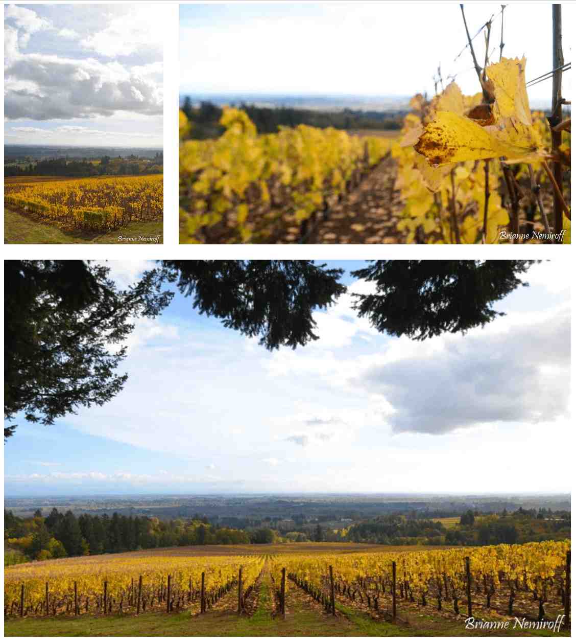 A Weekend Guide to Willamette Valley Wine Country - Domaine Drouhin.2