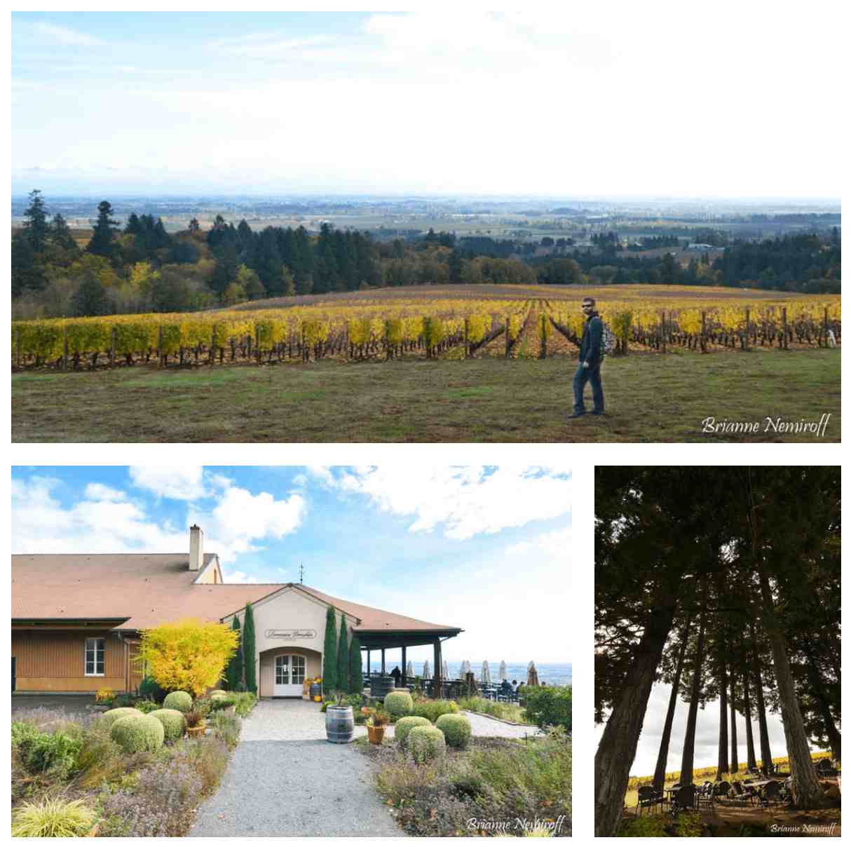 A Weekend Guide to Willamette Valley Wine Country - Domaine Drouhin