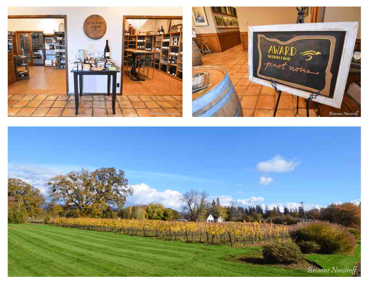 A Weekend Guide to Willamette Valley Wine Country - Duck Pond Cellars