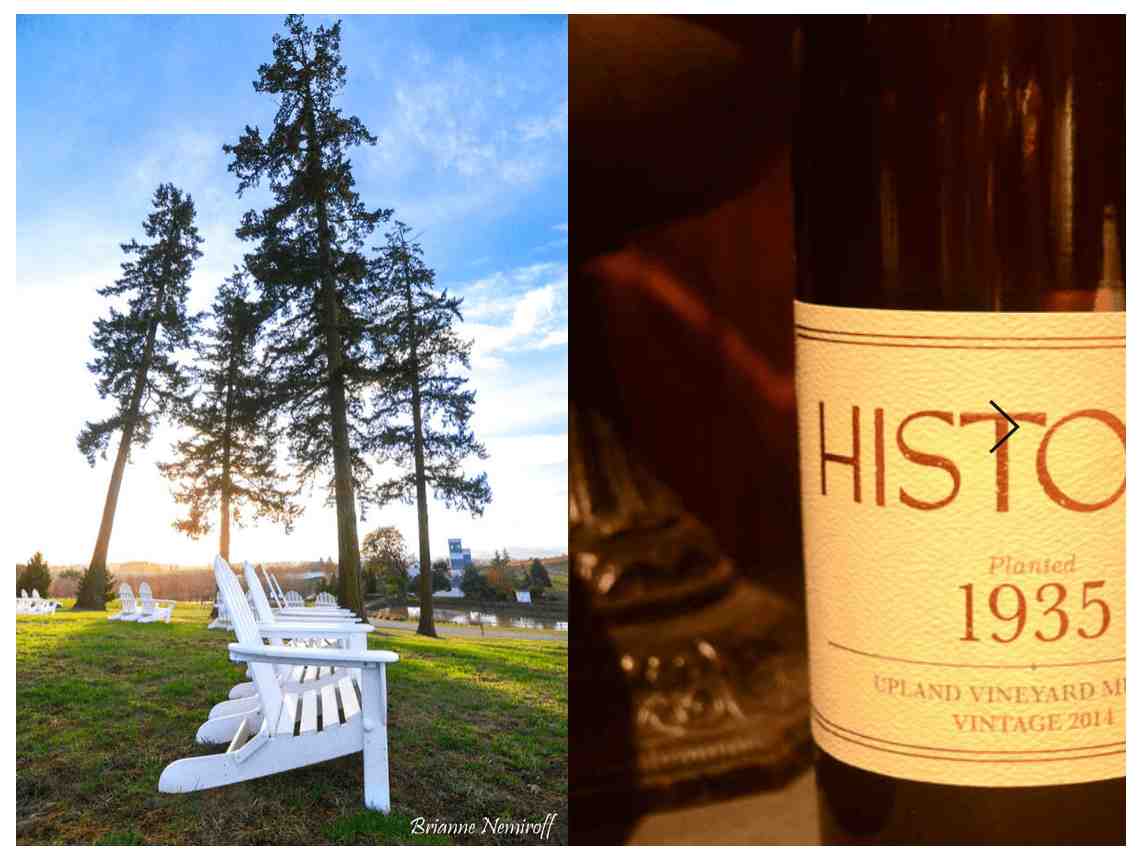 A Weekend Guide to Willamette Valley Wine Country - Stoller Family Estate