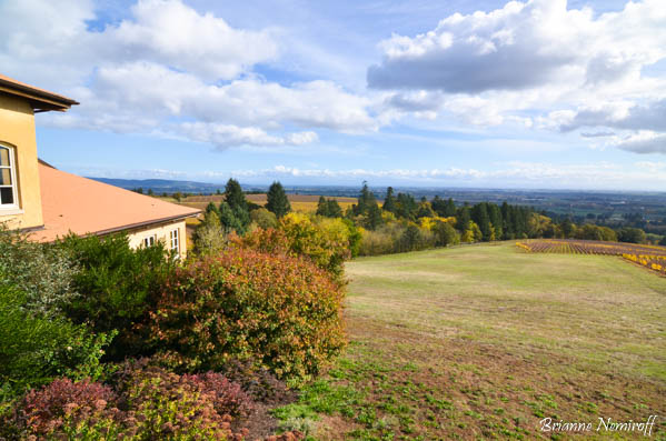A Weekend Guide to Willamette Valley Wine Country - Domaine Drouhin.2