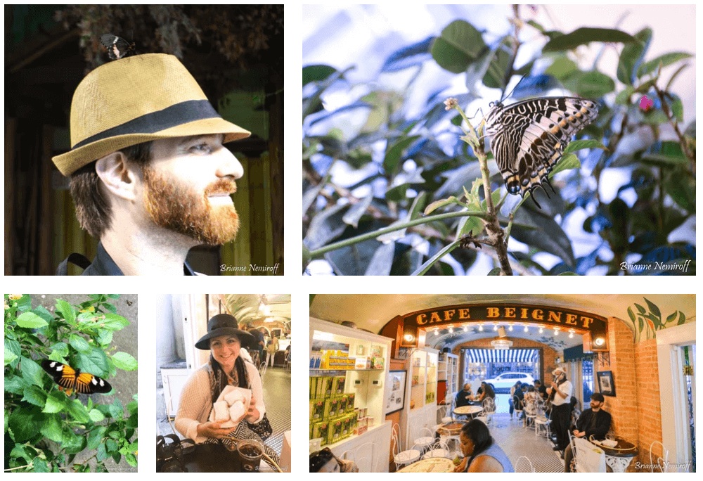 Plant-Based and Shopping Small Guide to New Orleans - Audubon Butterfly Garden