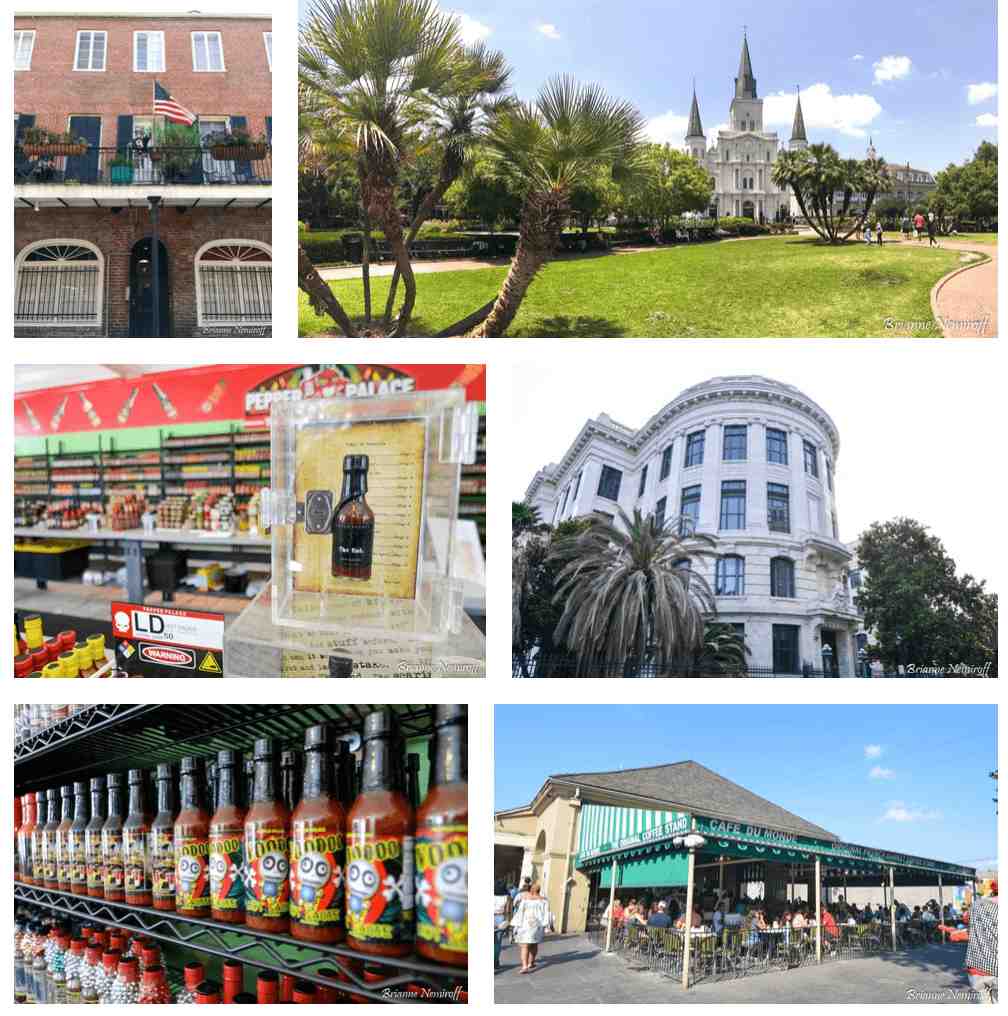 Plant-Based and Shopping Small Guide to New Orleans - French Quarter
