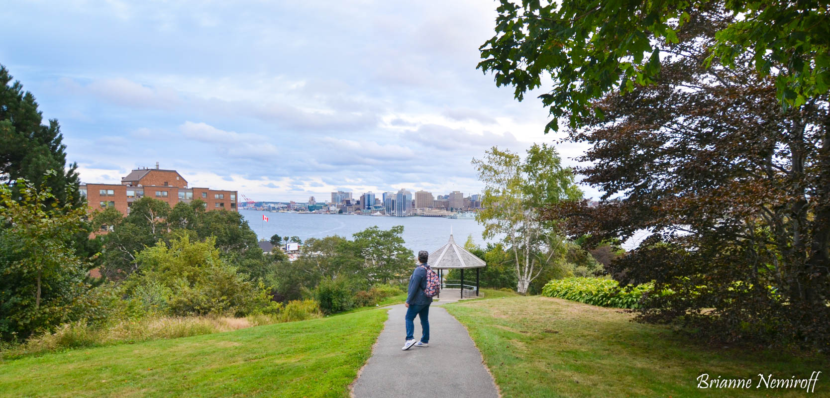 a view from the Dartmouth Commons