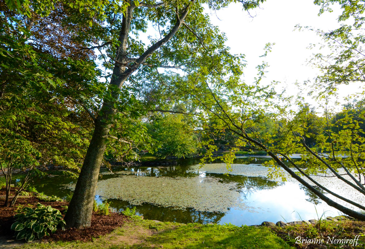 Halifax Public Gardens