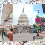 60 things to do in Washington D.C._s Most Popular Neighborhoods - It_s Bree and Ben
