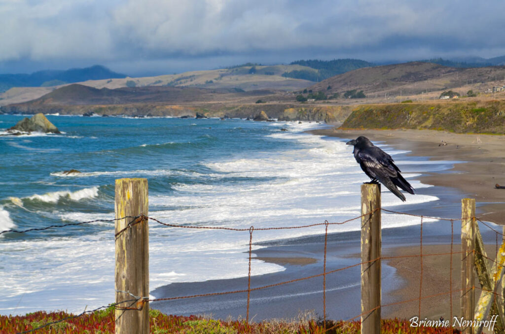 along highway 12 in Sonoma County