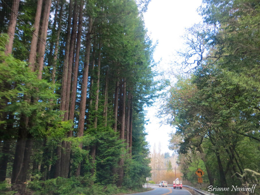 along highway 12 in Sonoma County