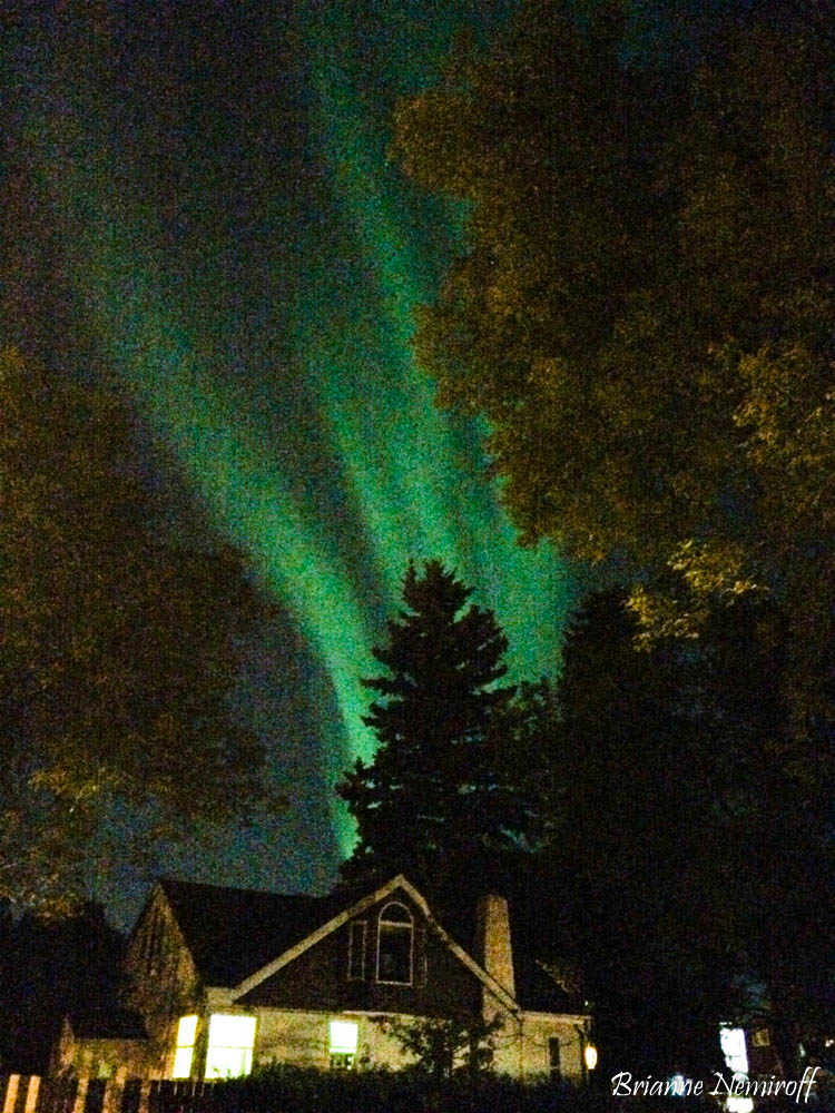 the northern lights from Old Strathcona