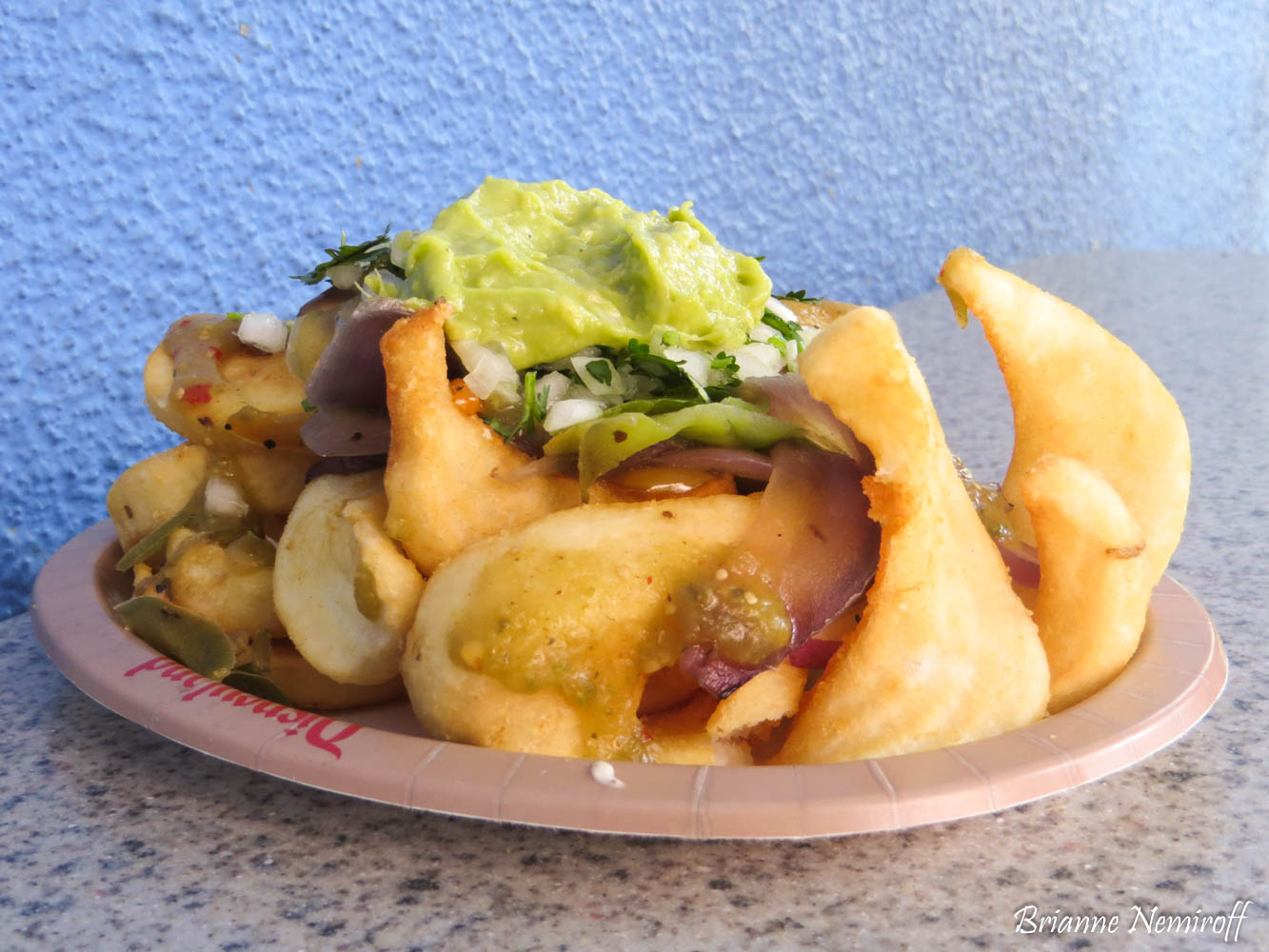 Carne Asada Fries at Award Wieners, Best Vegan Food at Disney California Adventure